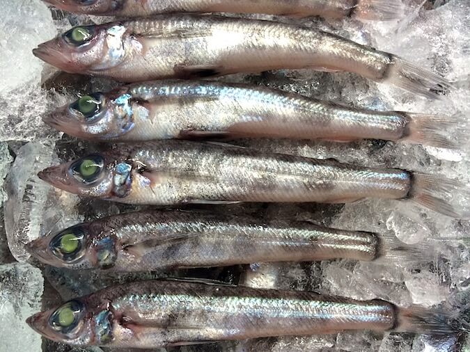 深海魚の干物 メヒカリ丸干し（めひかり） | 干物を通販で父の日ギフト