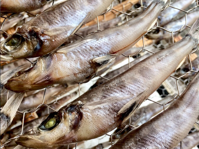 深海魚の干物 メヒカリ丸干し（めひかり） | 干物を通販で父の日ギフト