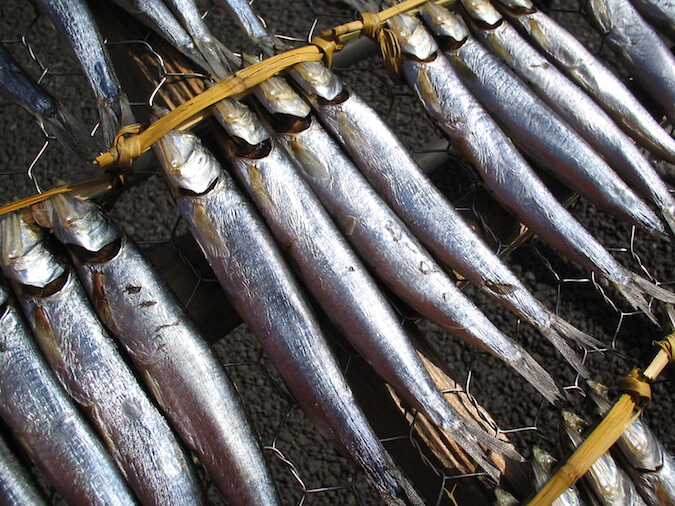 干物 片口いわし目刺し イワシ 鰯 おいしい干物を通販でお取り寄せ ひもの屋沼津ふなと