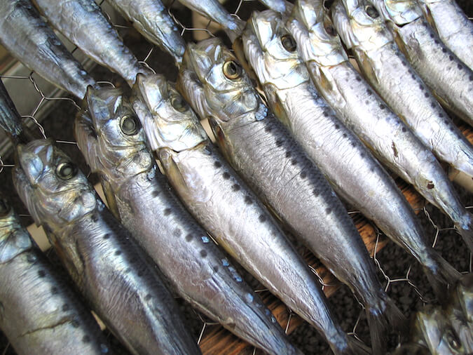 干物 真いわし丸干し イワシ 鰯 お歳暮 おいしい干物を通販でお取り寄せ ひもの屋沼津ふなと