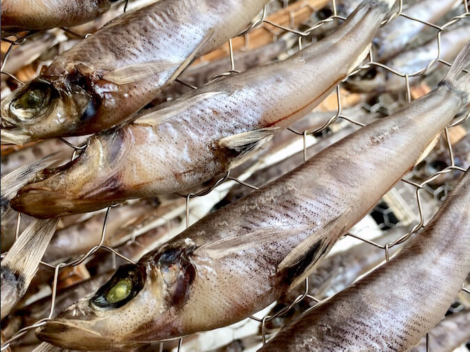 深海魚メヒカリの干物