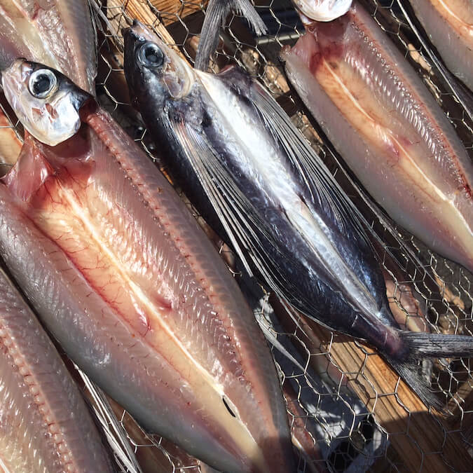 飛び魚の干物