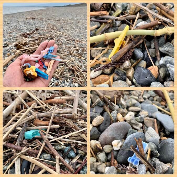 海岸に流れ着くプラスチック洗濯バサミ